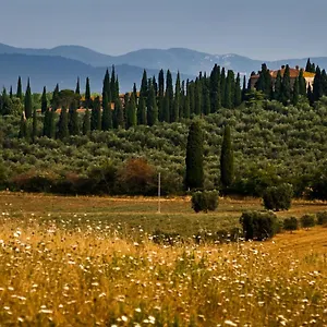 Gospodarstwo wiejskie Tenuta Di Poggio Cavallo, Istia dʼOmbrone